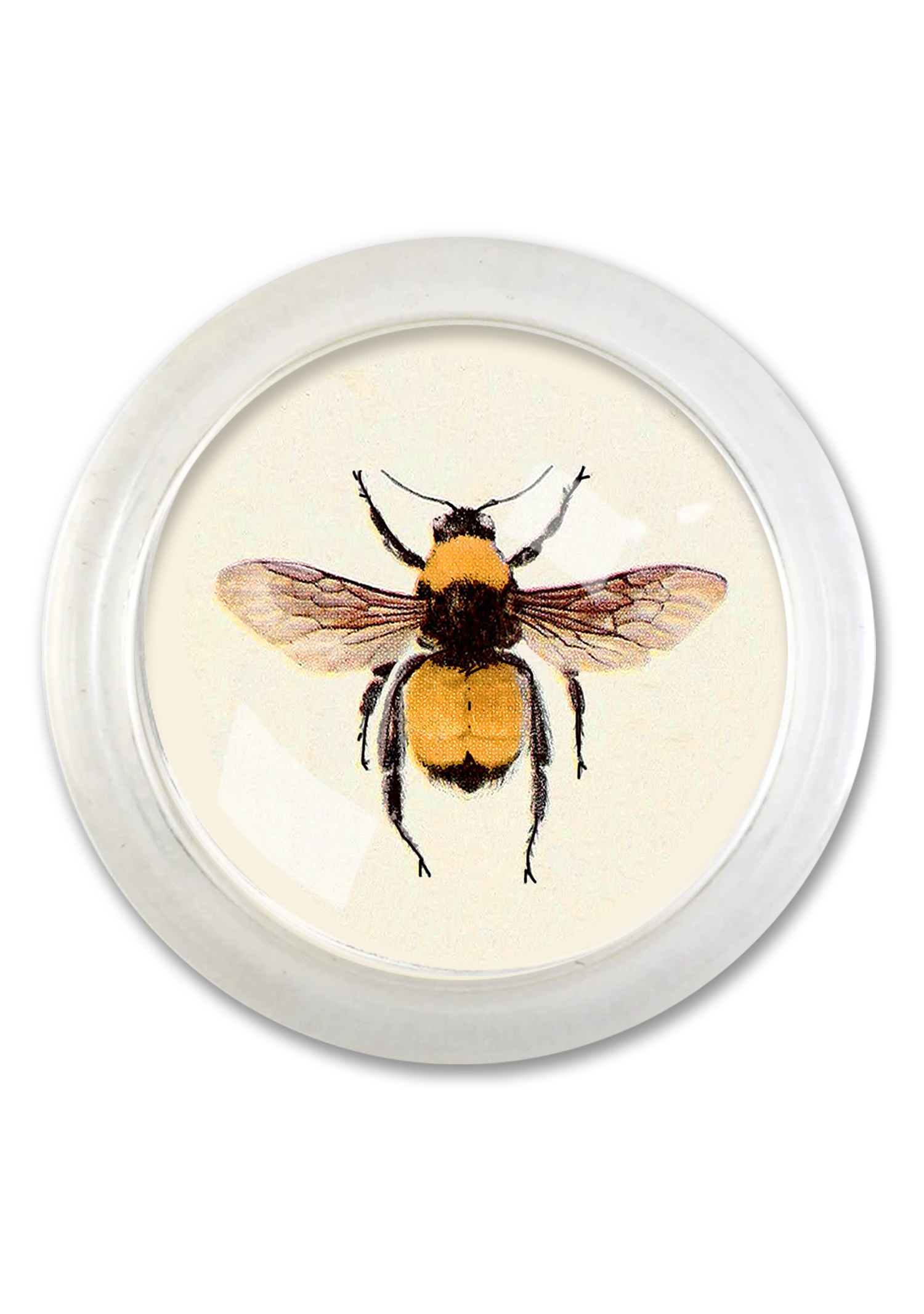 Golden Bumblebee 4" Round Glass Coaster