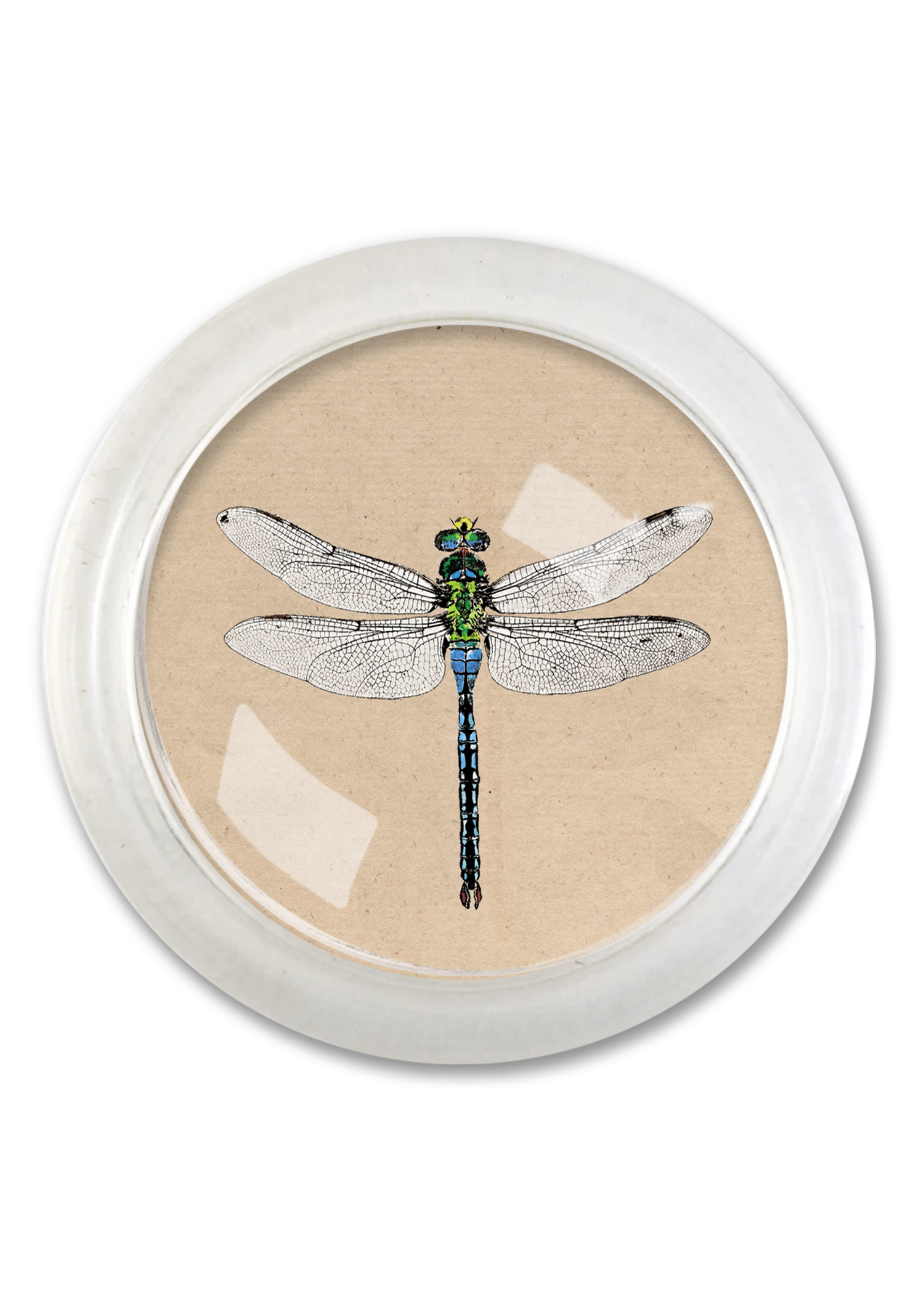 Emerald Green Crystal Dragonfly 4" Round Glass Coaster