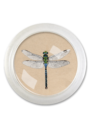 Emerald Green Crystal Dragonfly 4" Round Glass Coaster