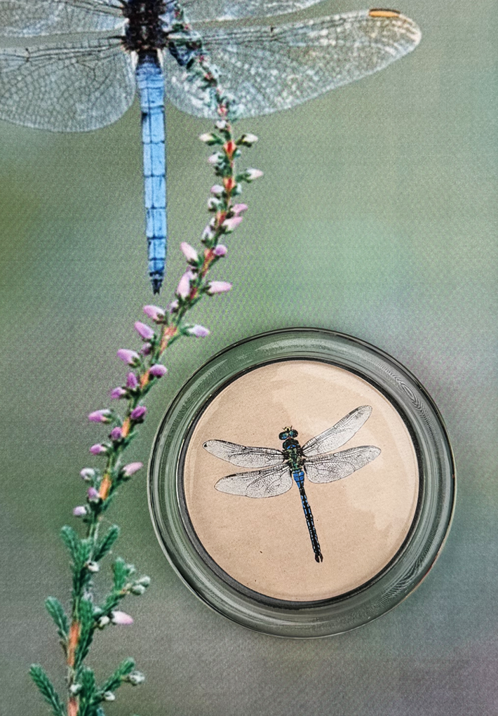 Emerald Green Crystal Dragonfly 4" Round Glass Coaster