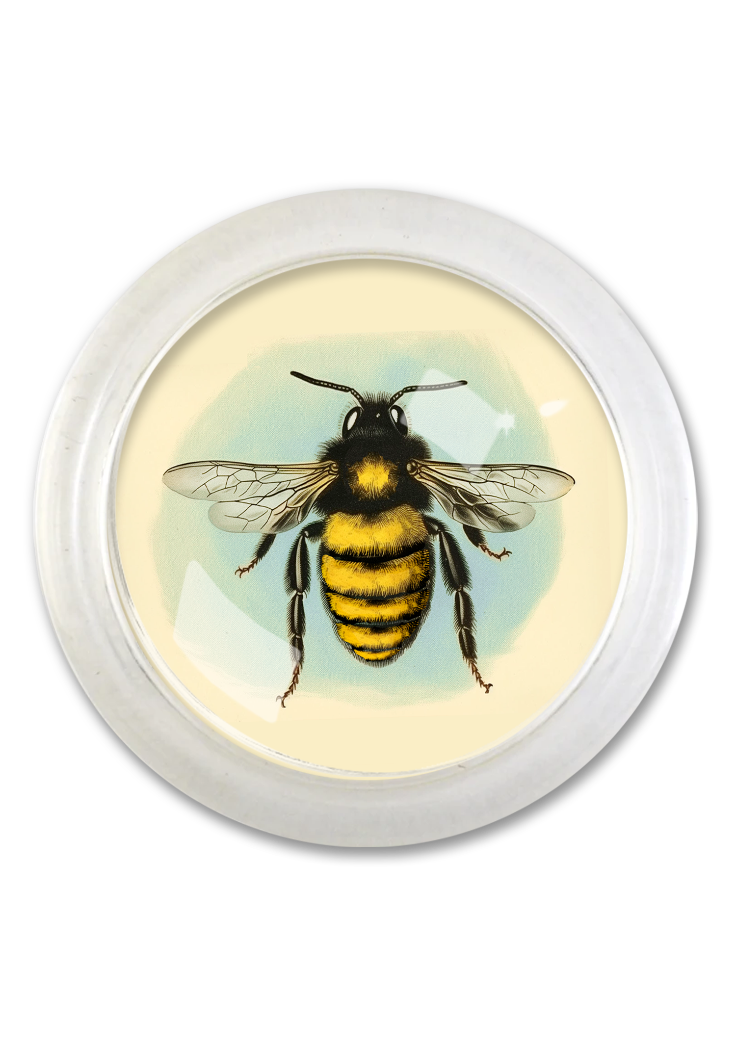 Blue Sky Golden Honeybee 4" Round Glass Coaster