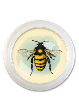 Blue Sky Golden Honeybee 4" Round Glass Coaster