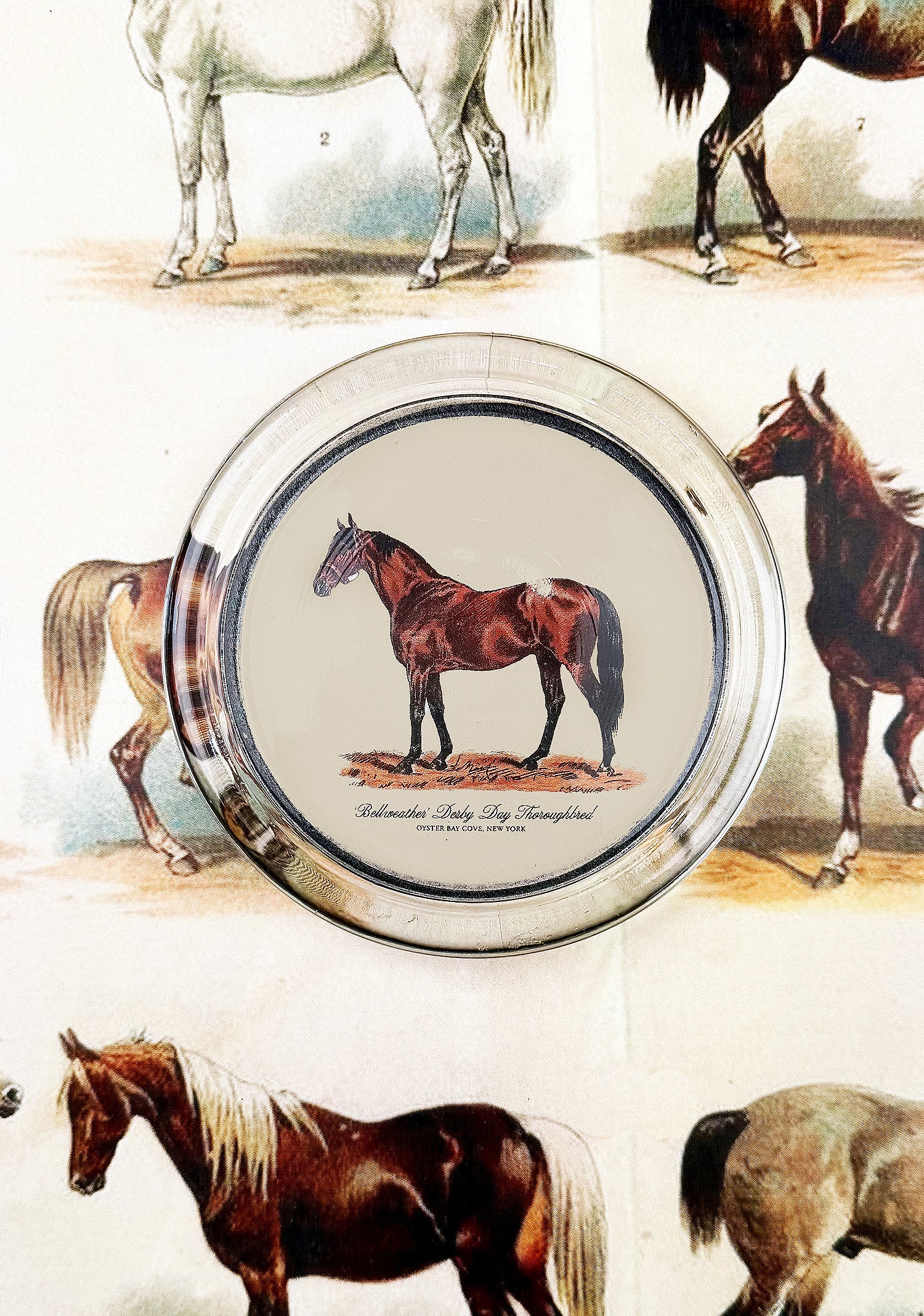 ‘Bellweather’ Derby Day Thoroughbred 4" Round Glass Coaster