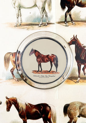 ‘Bellweather’ Derby Day Thoroughbred 4" Round Glass Coaster