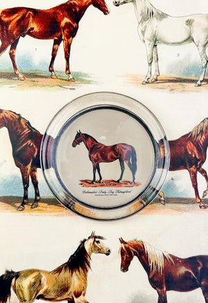 ‘Bellweather’ Derby Day Thoroughbred 4" Round Glass Coaster