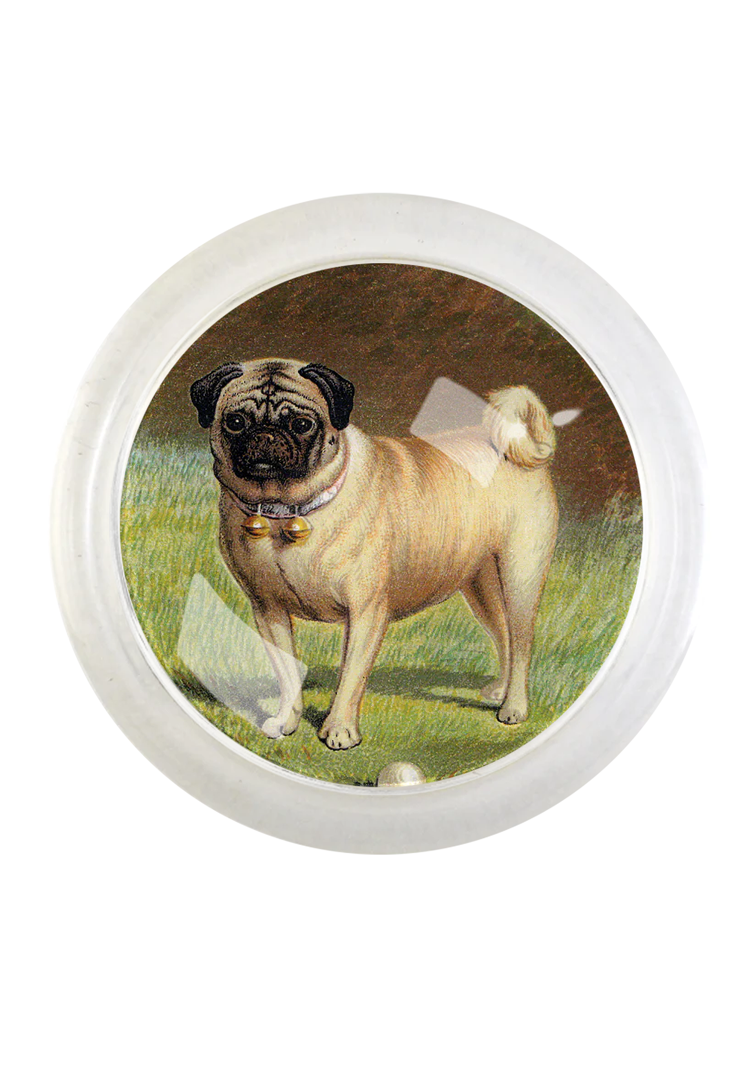 Vintage Pug Dog Round Glass 4" Coaster
