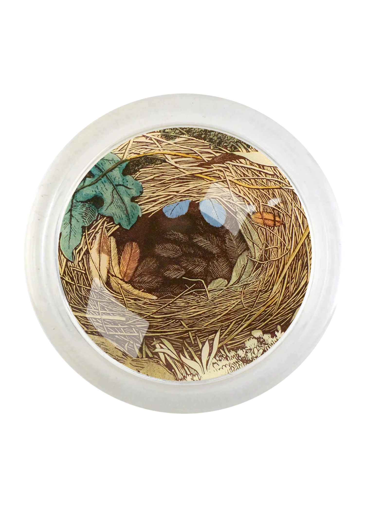 Feathered Nest Round Glass 4" Coaster