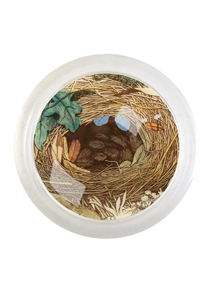 Feathered Nest Round Glass 4" Coaster