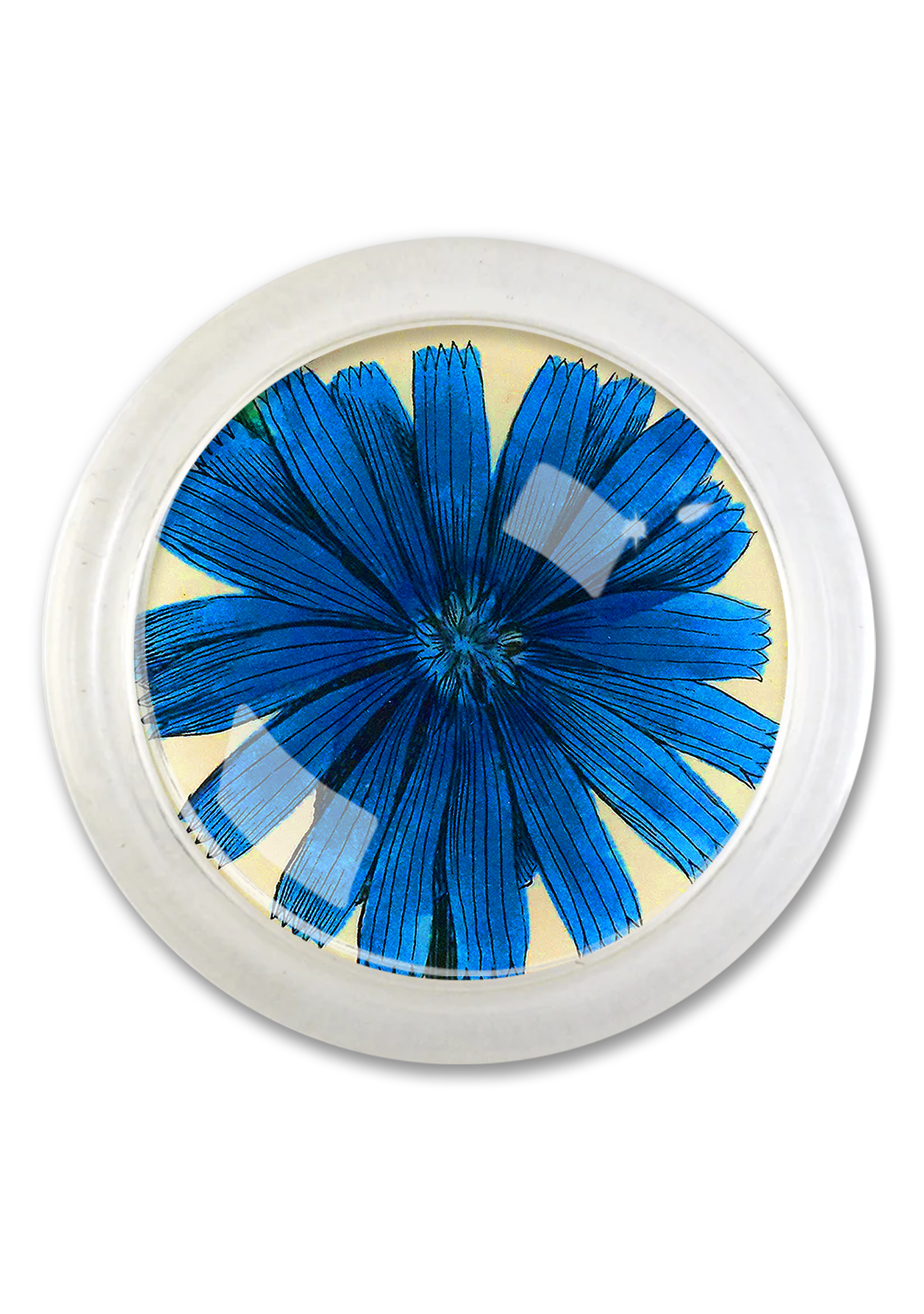 Blue Wildflower 4" Round Glass Coaster