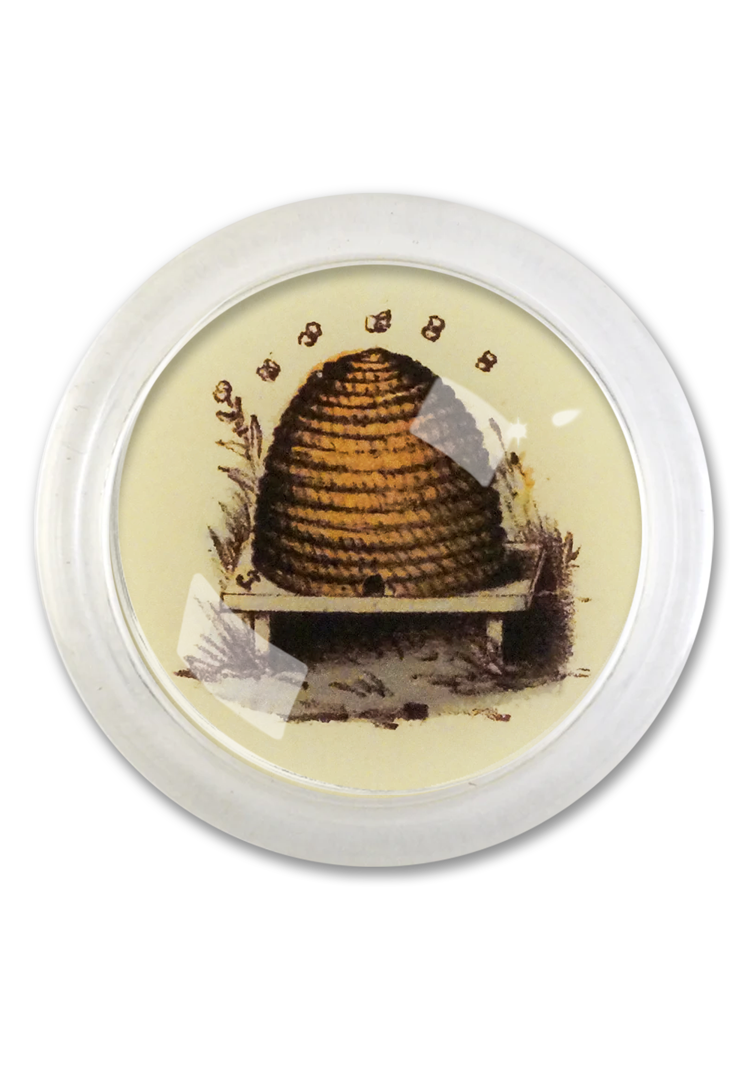 Vintage Beehive 4" Round Glass Coaster