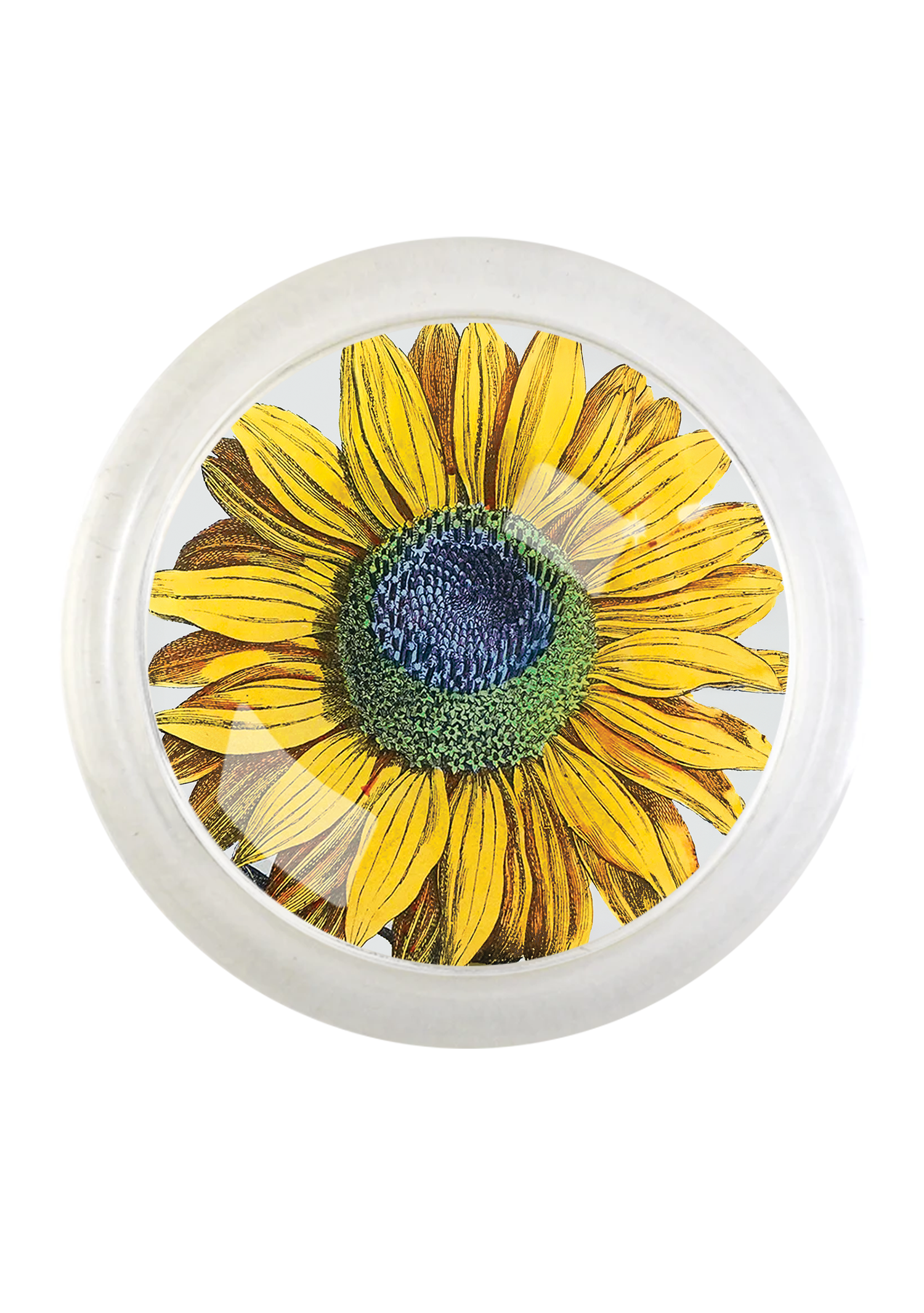 Amagansett Sunflower 4" Round Glass Coaster