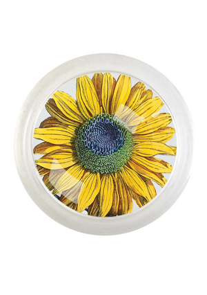 Amagansett Sunflower 4" Round Glass Coaster