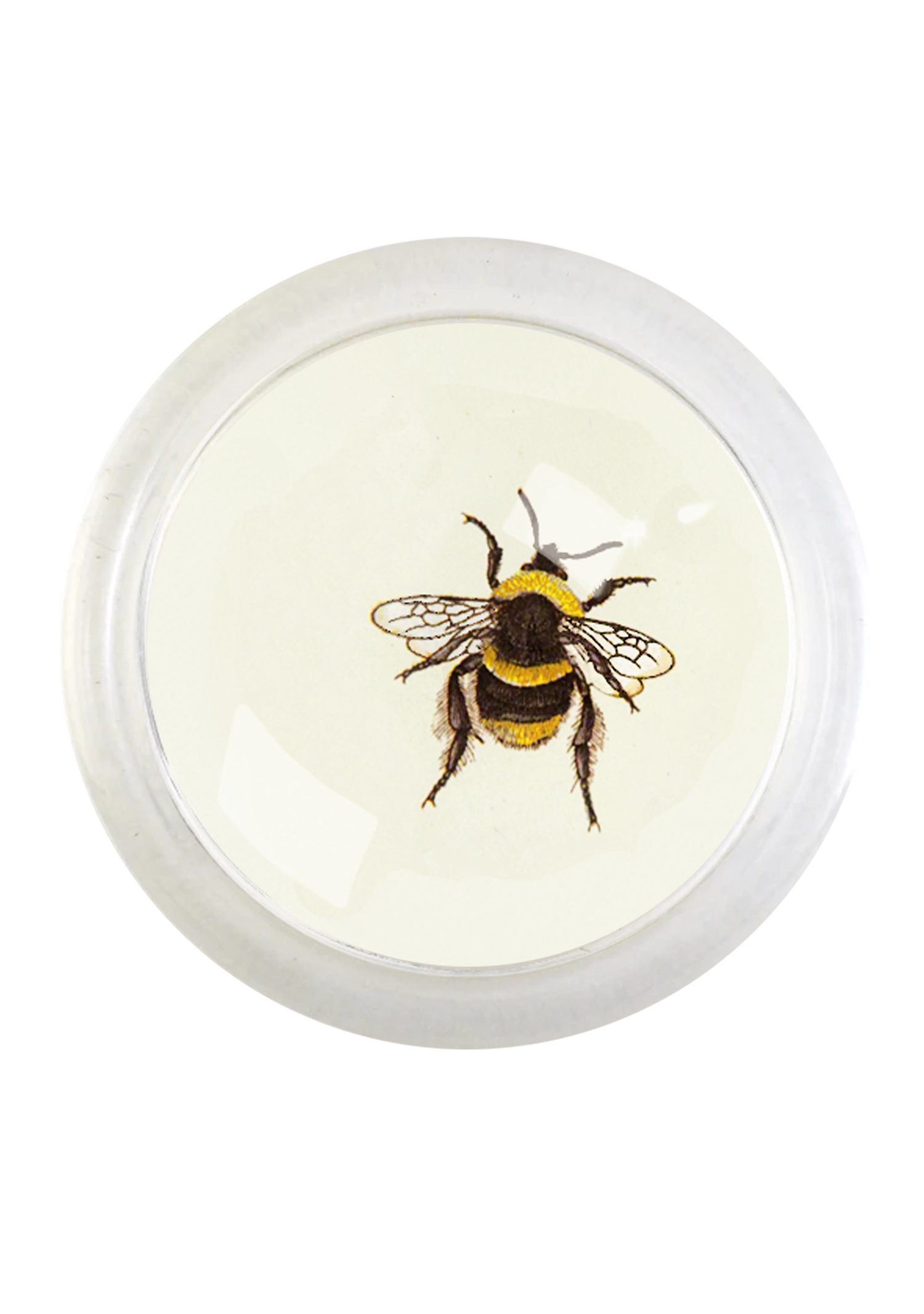 Honey Bee #1 4" Round Glass Coaster