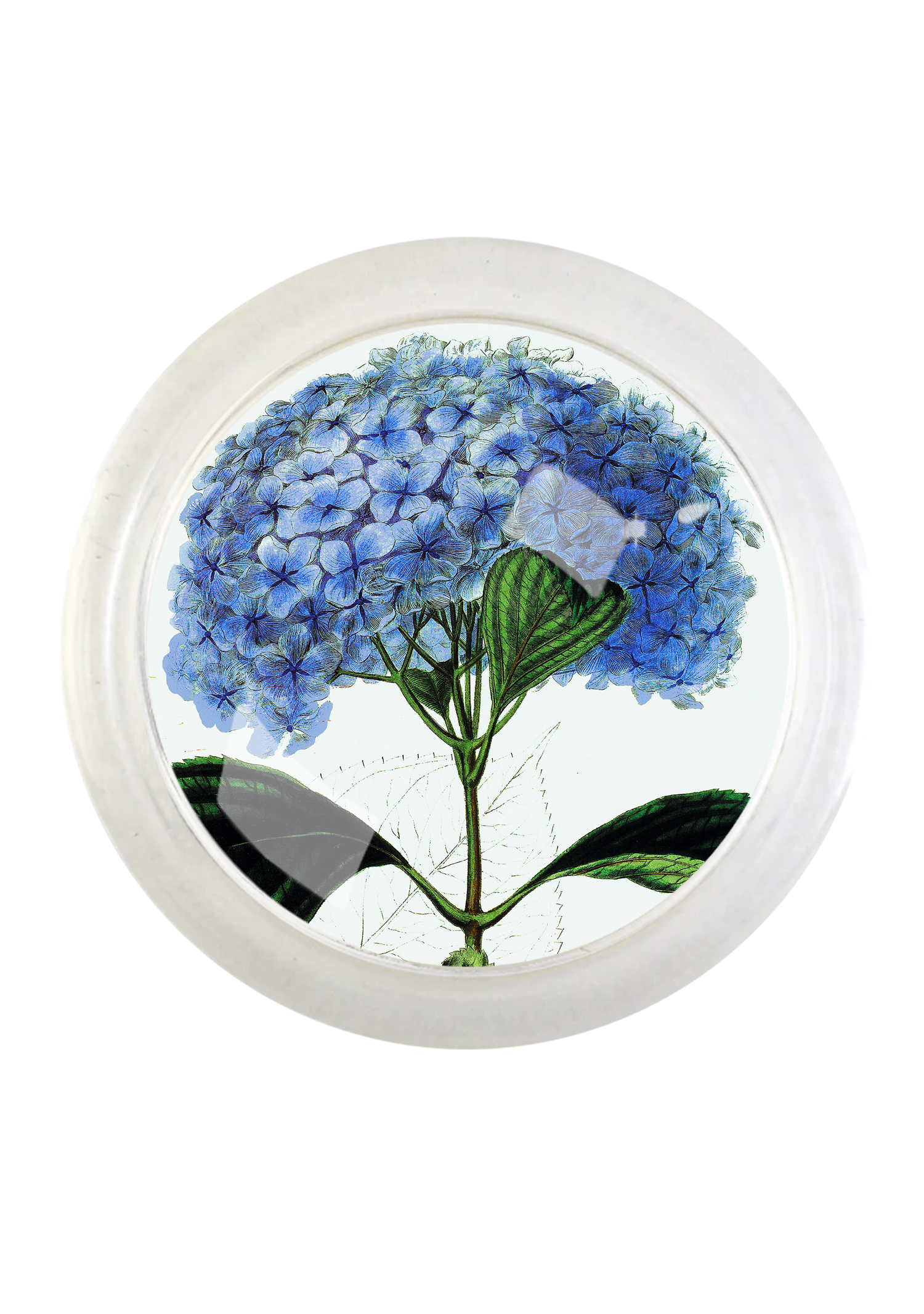 Blue Hydrangea 4" Round Glass Coaster
