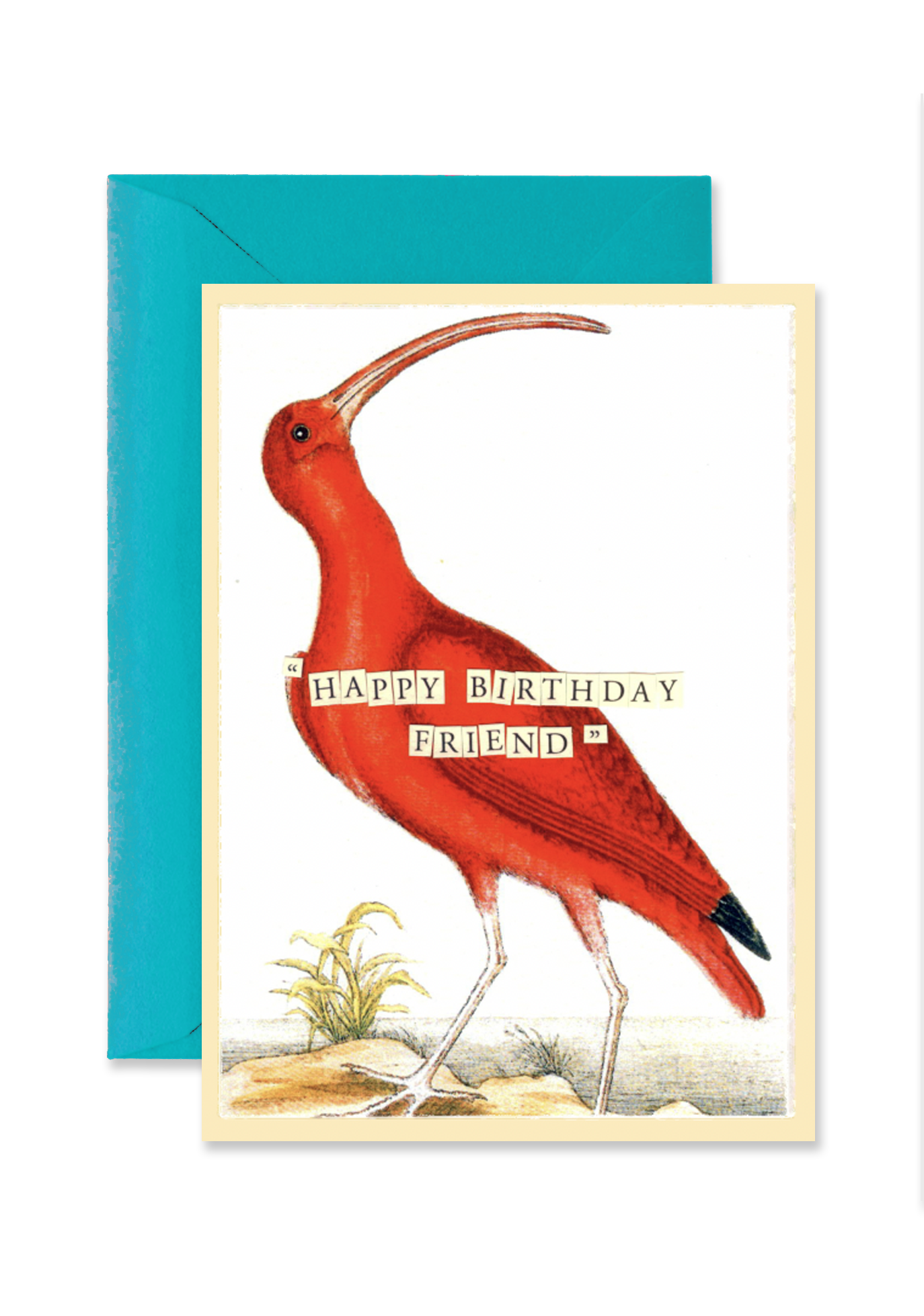 Happy Birthday Curlew Folded Greeting Card