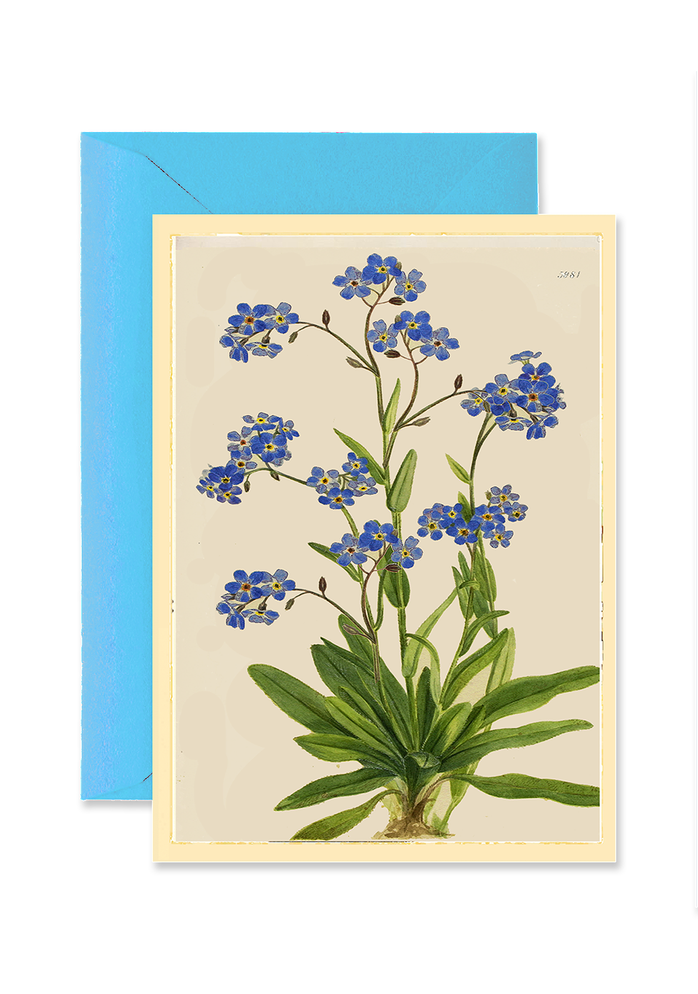Forget Me Nots Folded A7 Greeting Card