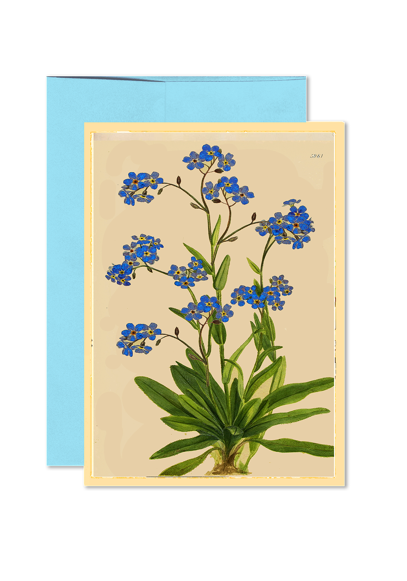 Forget Me Nots Folded Greeting Card