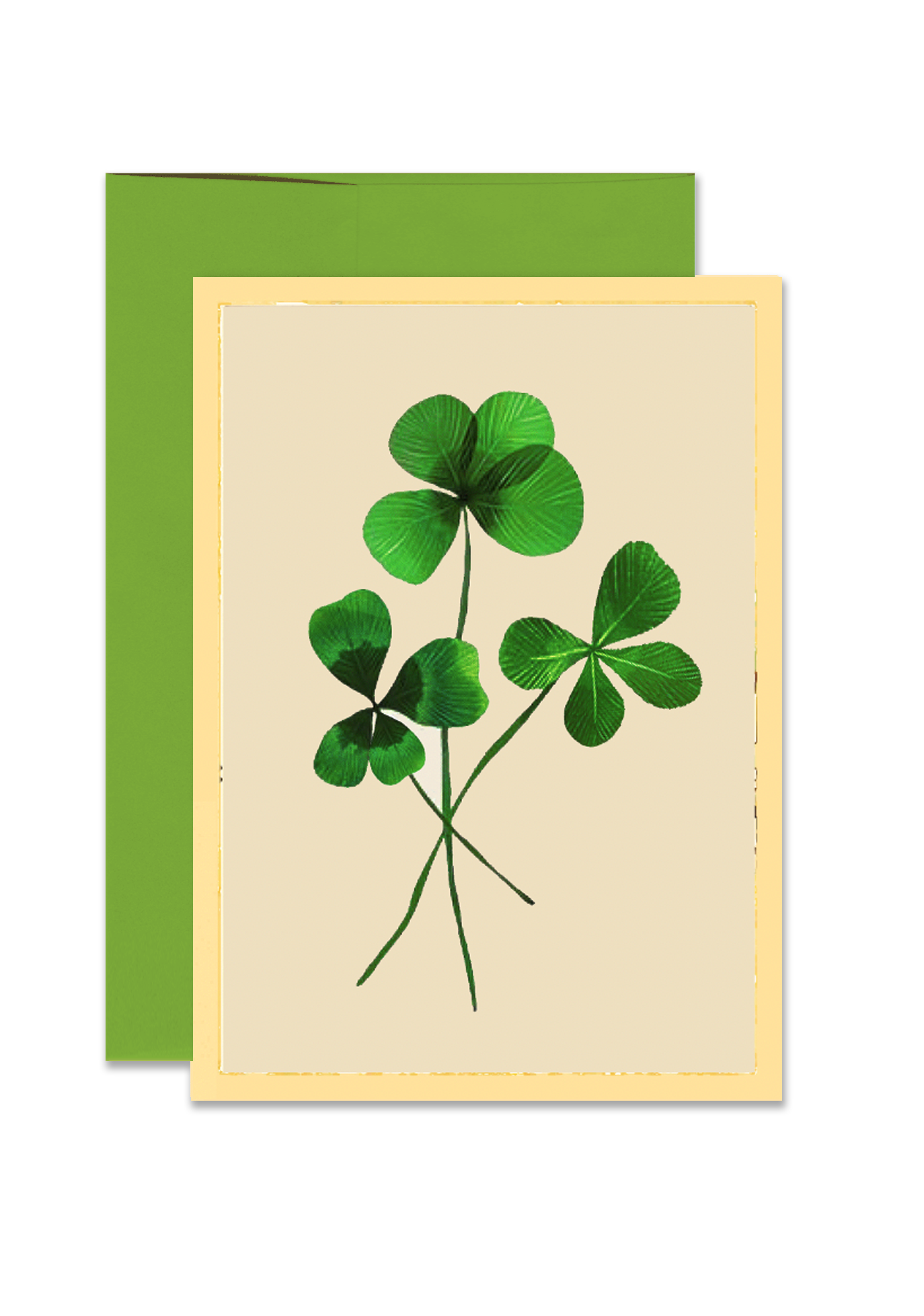 Three Lucky Clover Folded Greeting Card