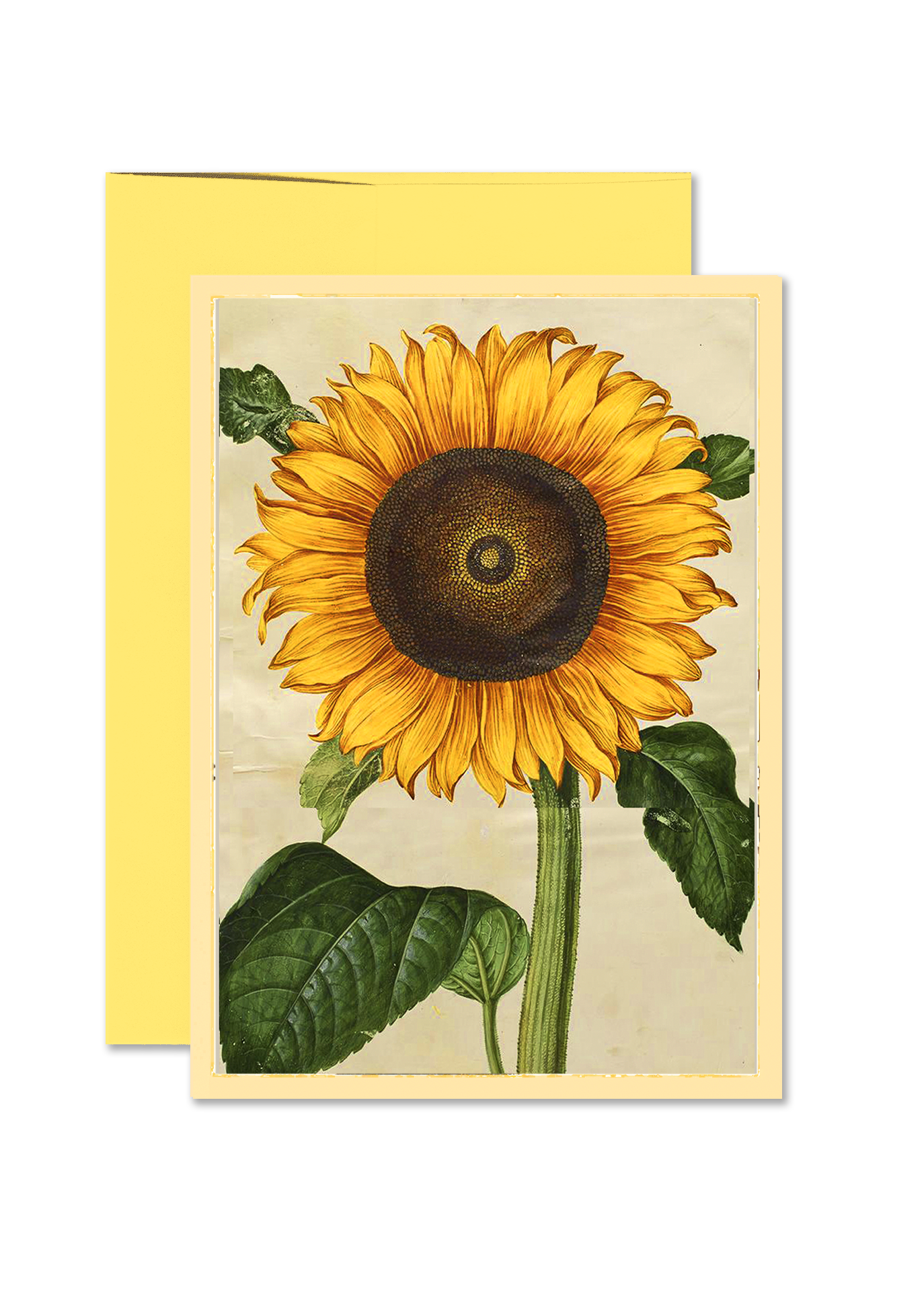 Bright Sunflower Folded Greeting Card