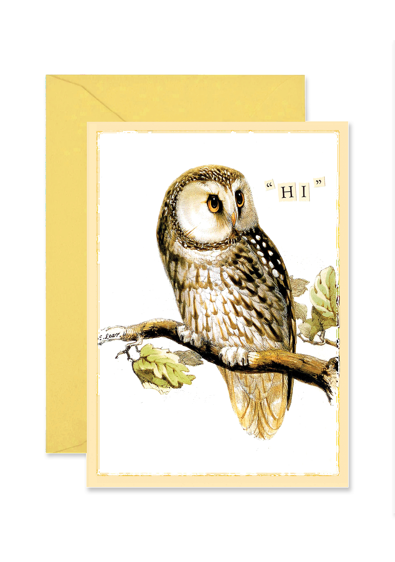 Hi Owl Folded A7 Greeting Card - Ben's Garden
