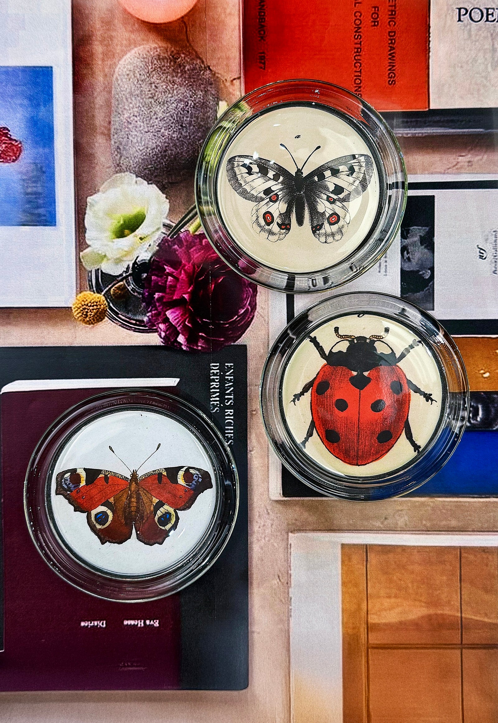 Woodland Butterfly 4" Round Glass Coaster