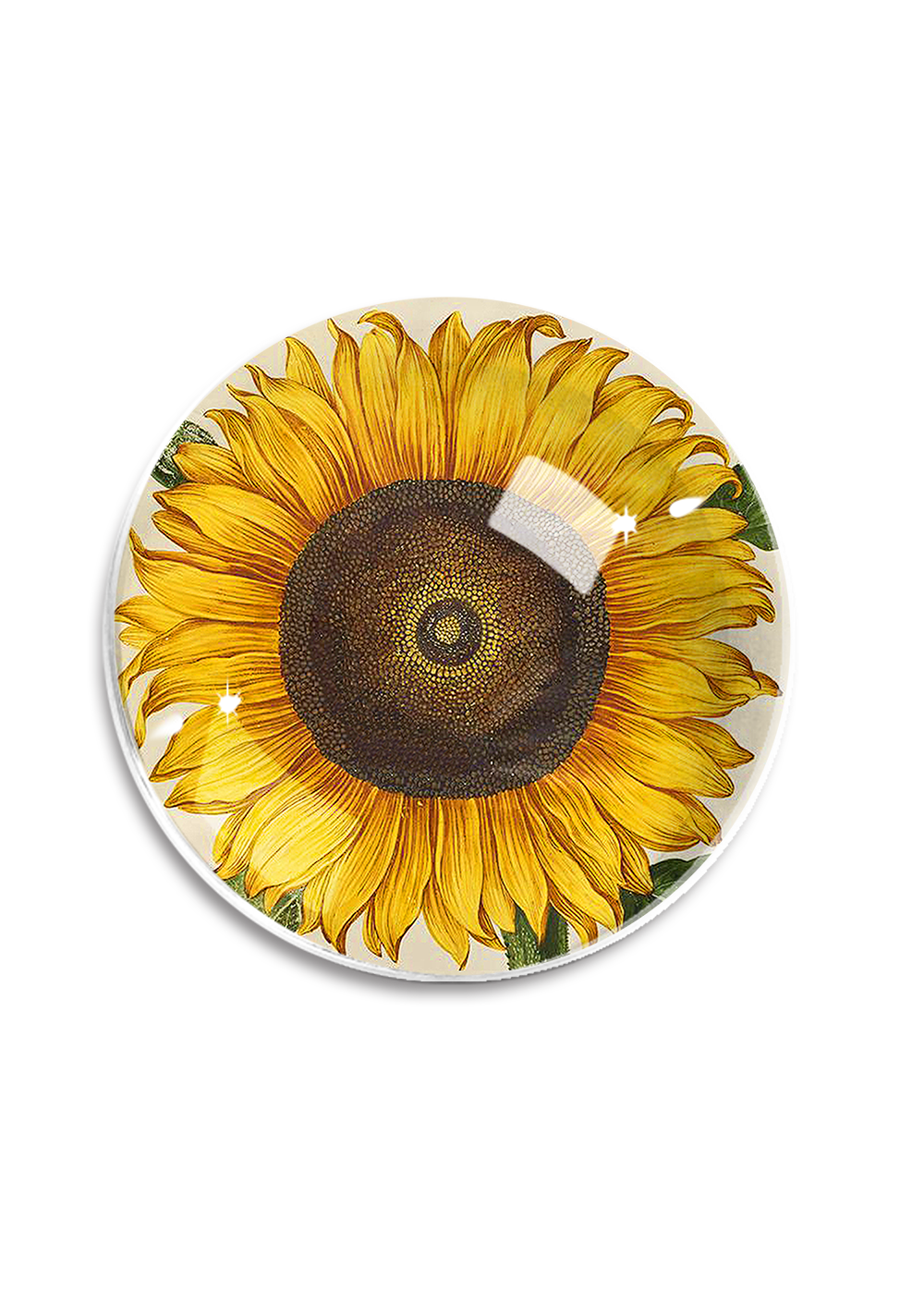 Bensgarden.com | Sunflower No.3 French Crystal Dome Paperweight - Ben's Garden. Made in New York City.