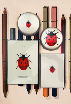 Argentinian Red Ladybug Decoupage Glass Tray