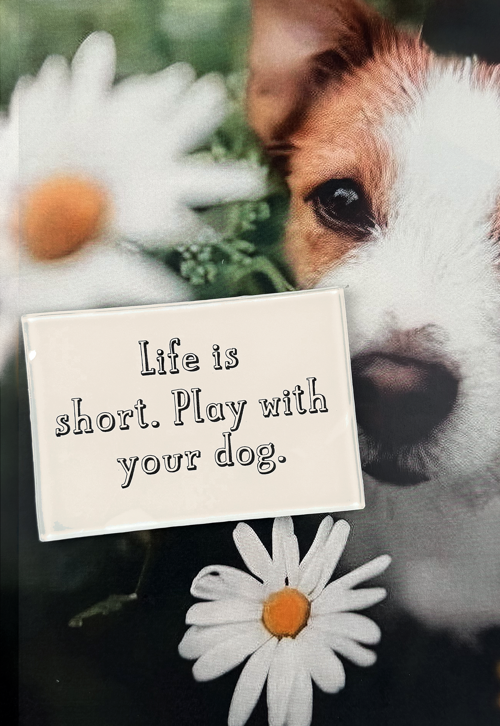 Life Is Short, Play With Your Dog. Decoupage Glass Tray