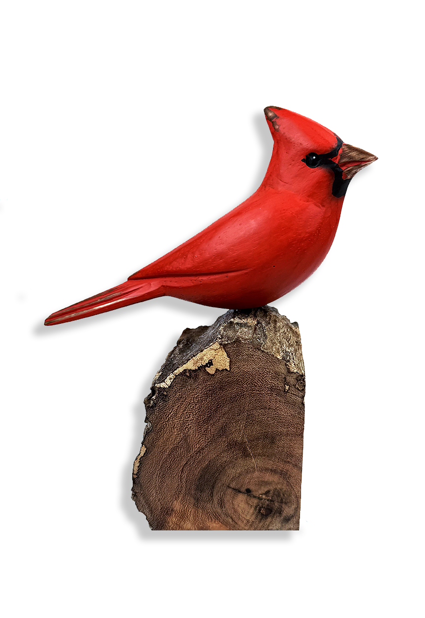 Hand Carved Wooden Cardinal- from England