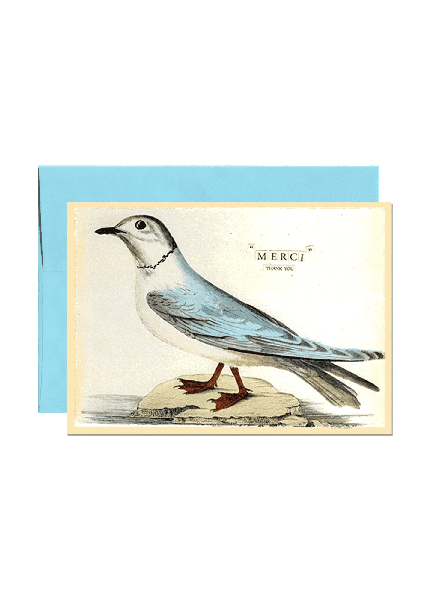 Bluebird Merci Folded Greeting Card - Bensgarden.com