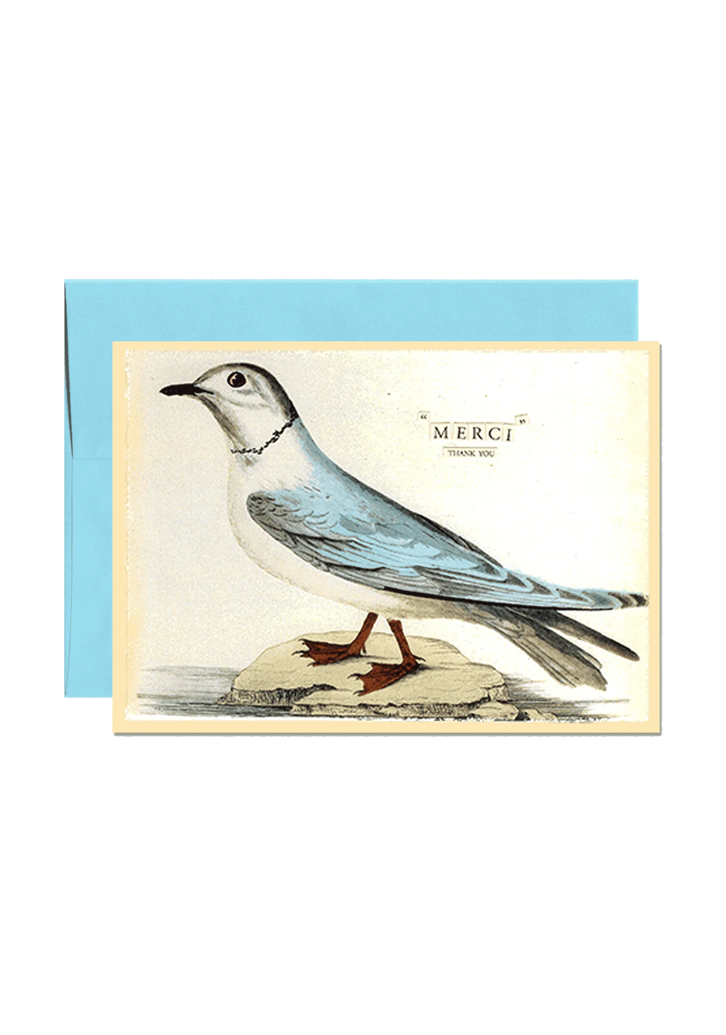 Bensgarden.com | Bluebird Merci Folded Greeting Card - Ben's Garden. Made in New York City.