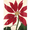 Christmas Poinsettia Decoupage Glass Tray - Bensgarden.com