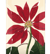 Christmas Poinsettia Decoupage Glass Tray - Bensgarden.com