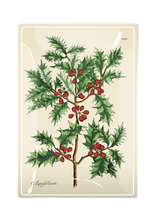 Christmas Wild Holly Decoupage Glass Tray - Bensgarden.com