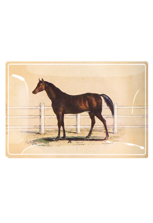 Vintage Noble Horse Decoupage Glass Tray