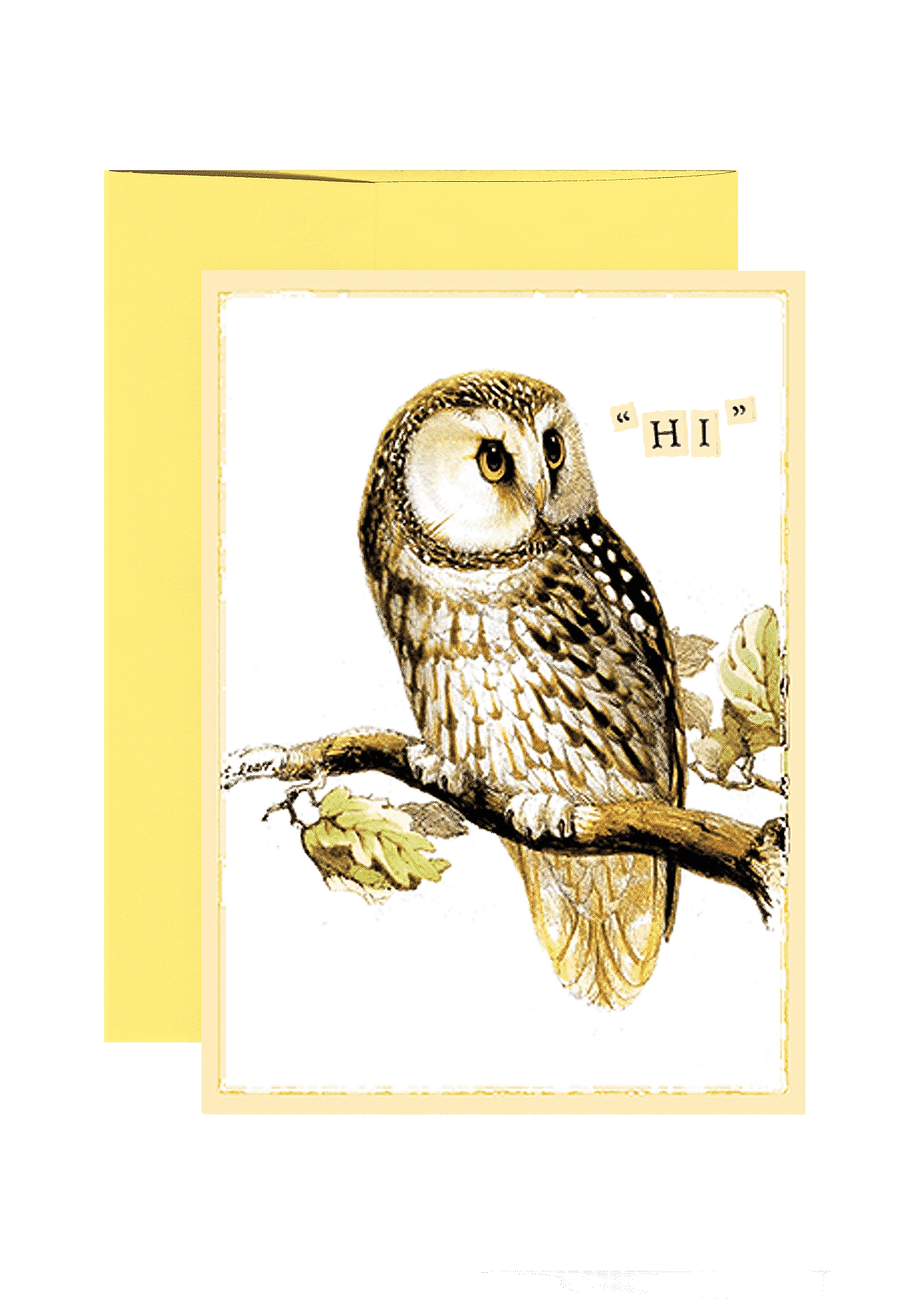 Bensgarden.com | Hi Owl Folded Greeting Card - Ben's Garden. Made in New York City.