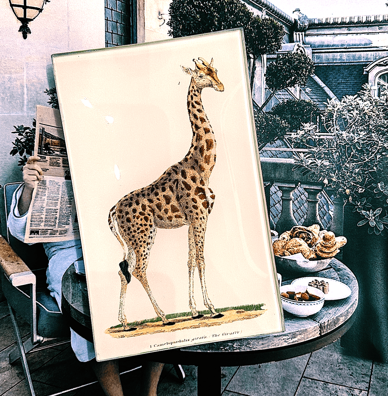 Giraffe "Geoffrey" Decoupage Glass Tray - Bensgarden.com