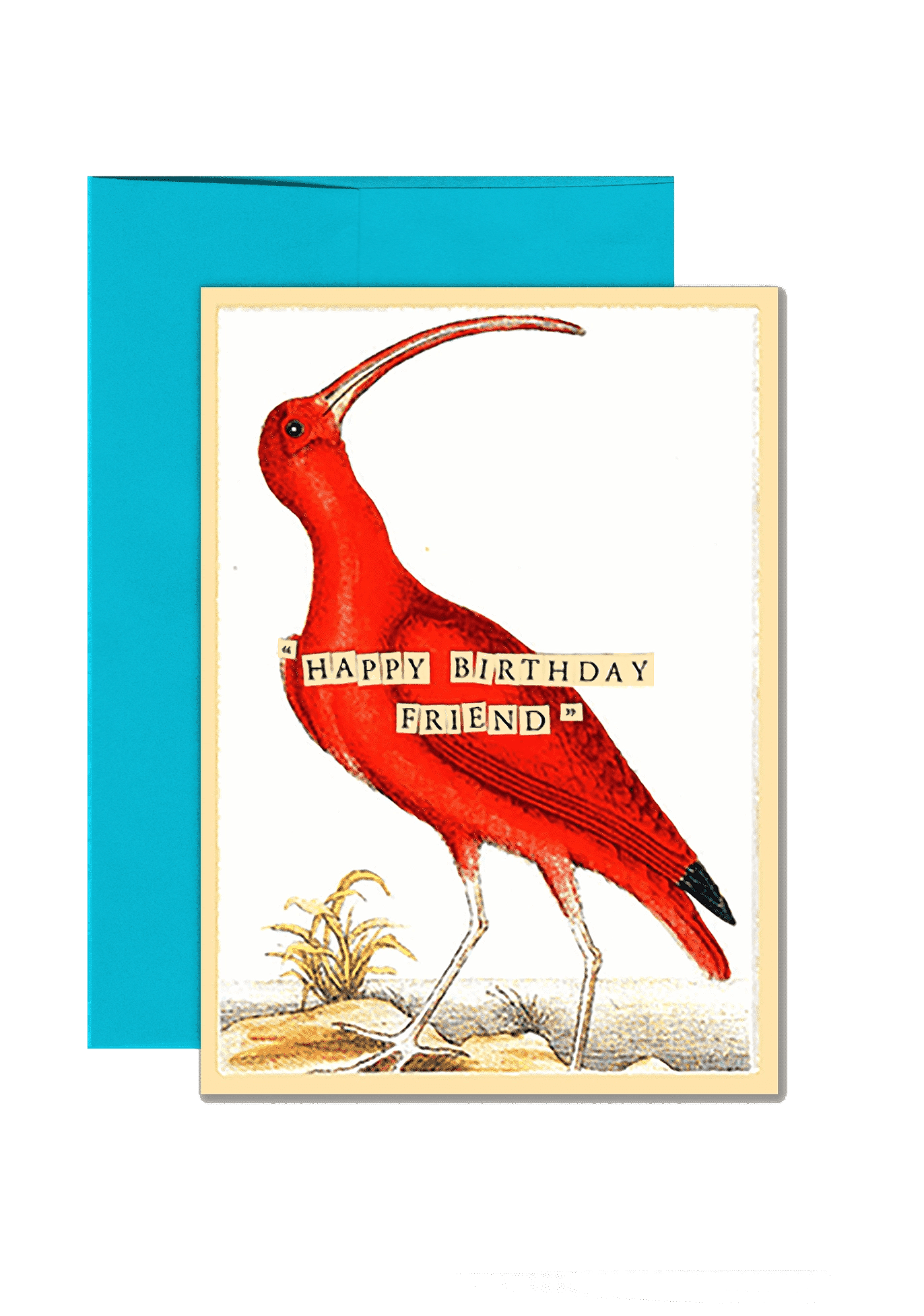 Happy Birthday Curlew Folded Greeting Card - Bensgarden.com