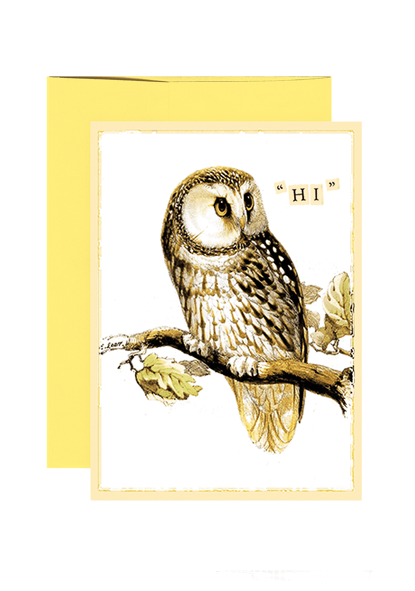 Hi Owl Folded Greeting Card - Bensgarden.com