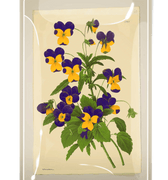 Pansies Decoupage Glass Tray - Bensgarden.com