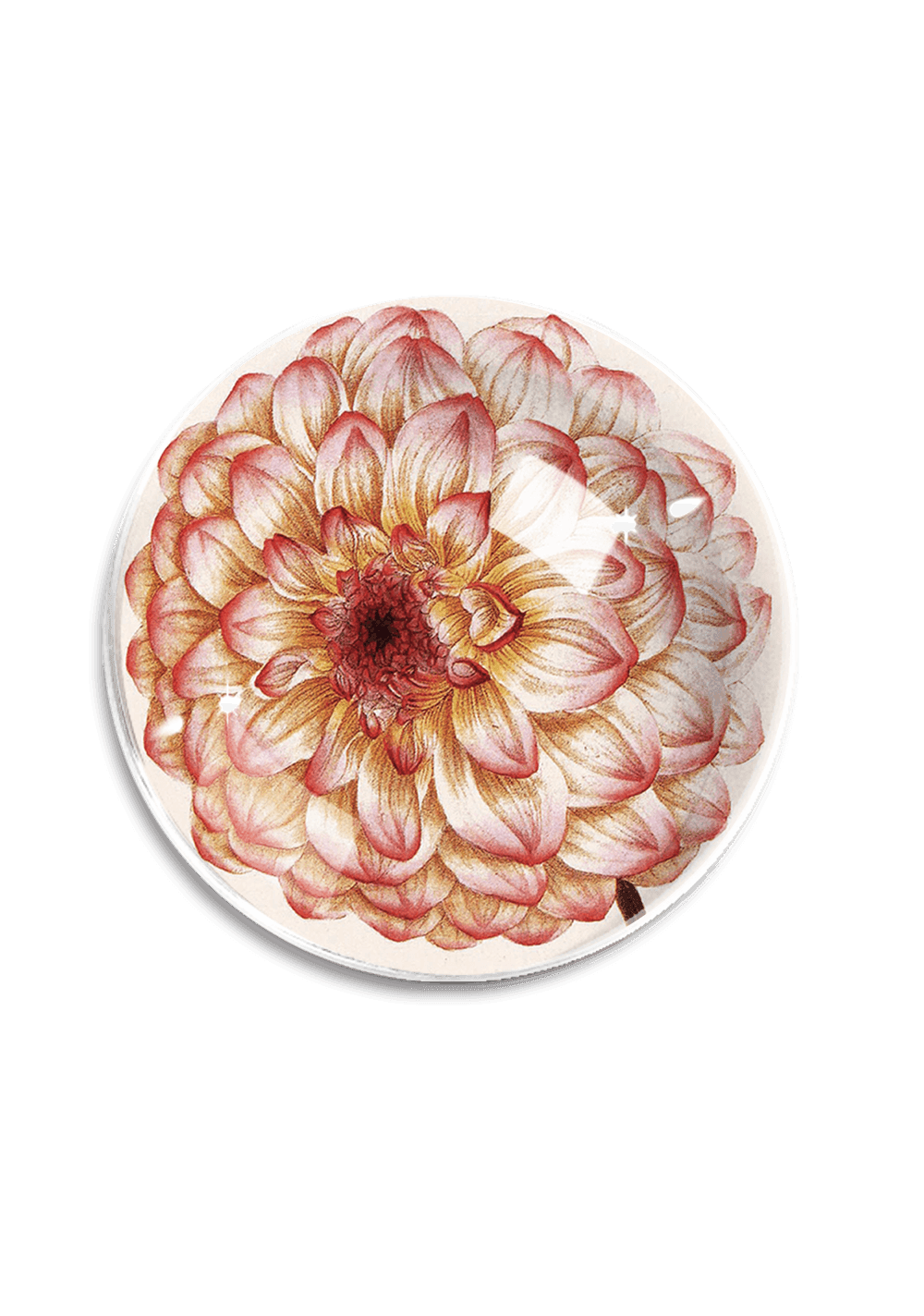 Pink Dahlia Blossom French Crystal Dome Paperweight - Bensgarden.com