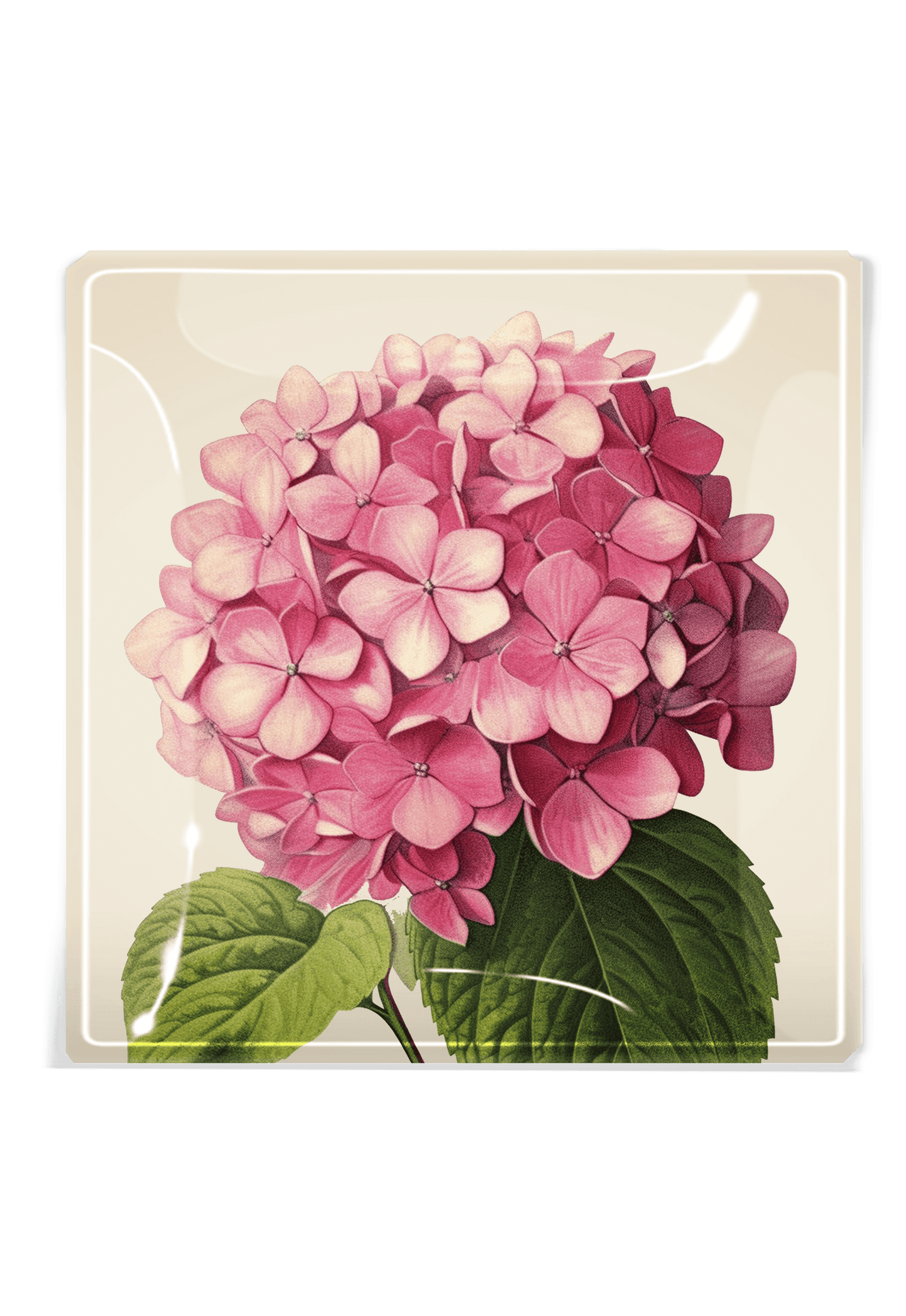 Pink Hydrangea Decoupage Glass Tray - Bensgarden.com