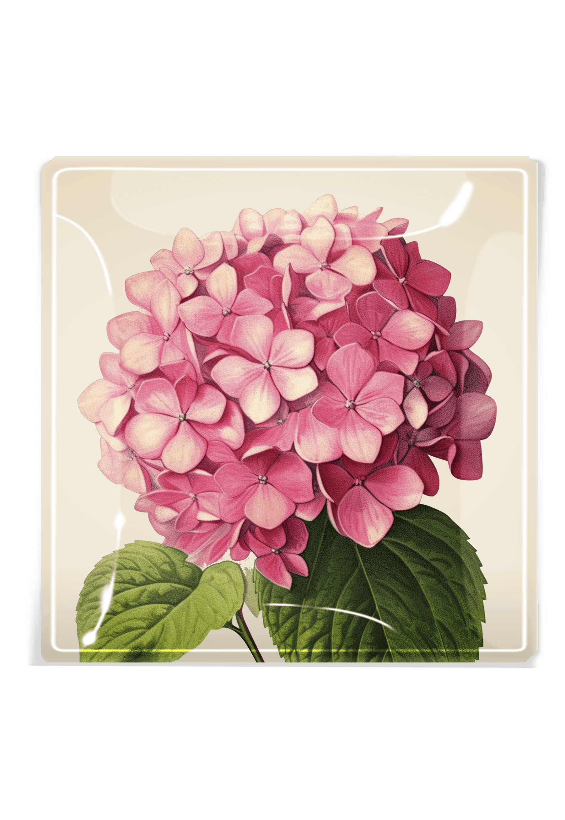 Ben's Garden | Pink Hydrangea Decoupage Glass Tray - Bensgarden.com