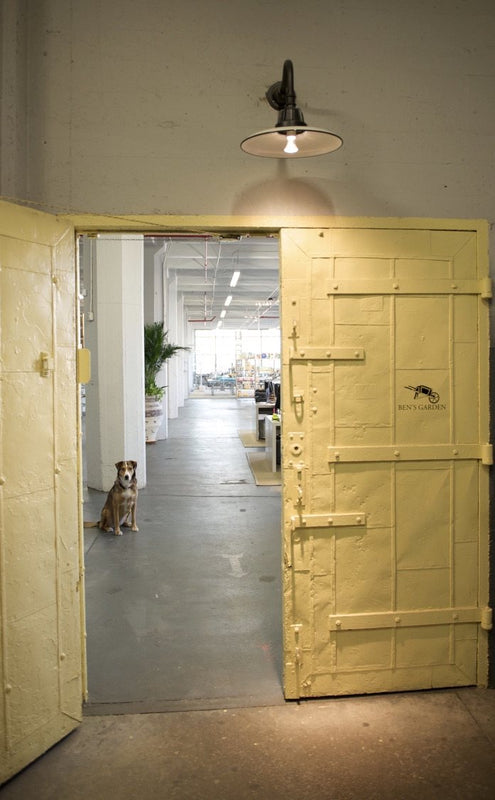 The yellow front door of the Ben's Garden studio