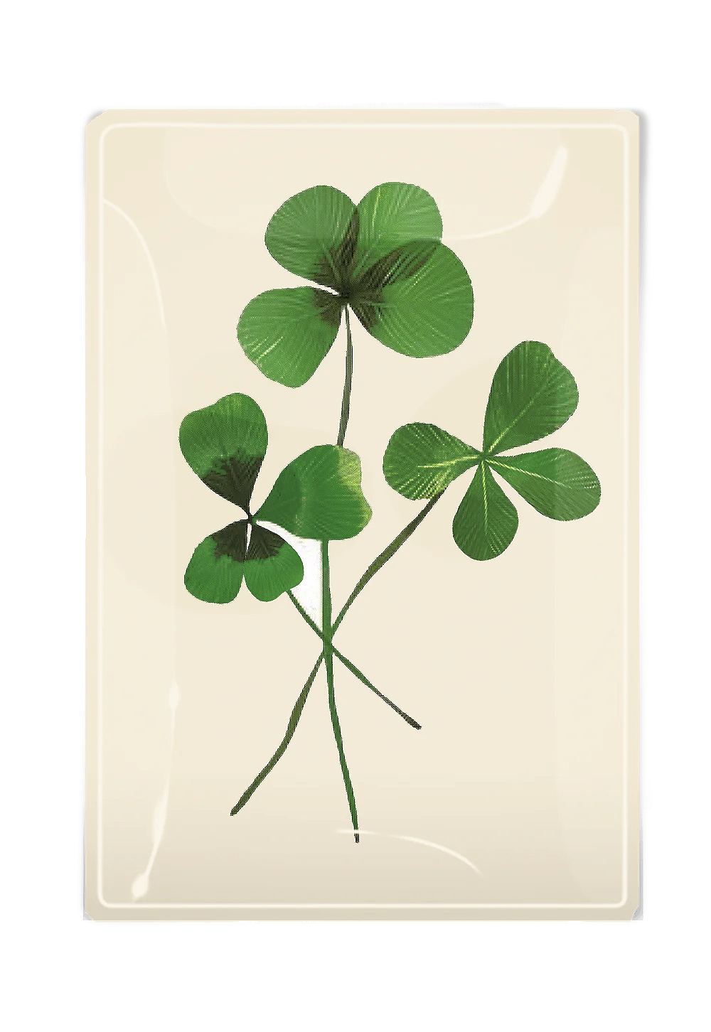 Three Lucky Clover Decoupage Glass Tray