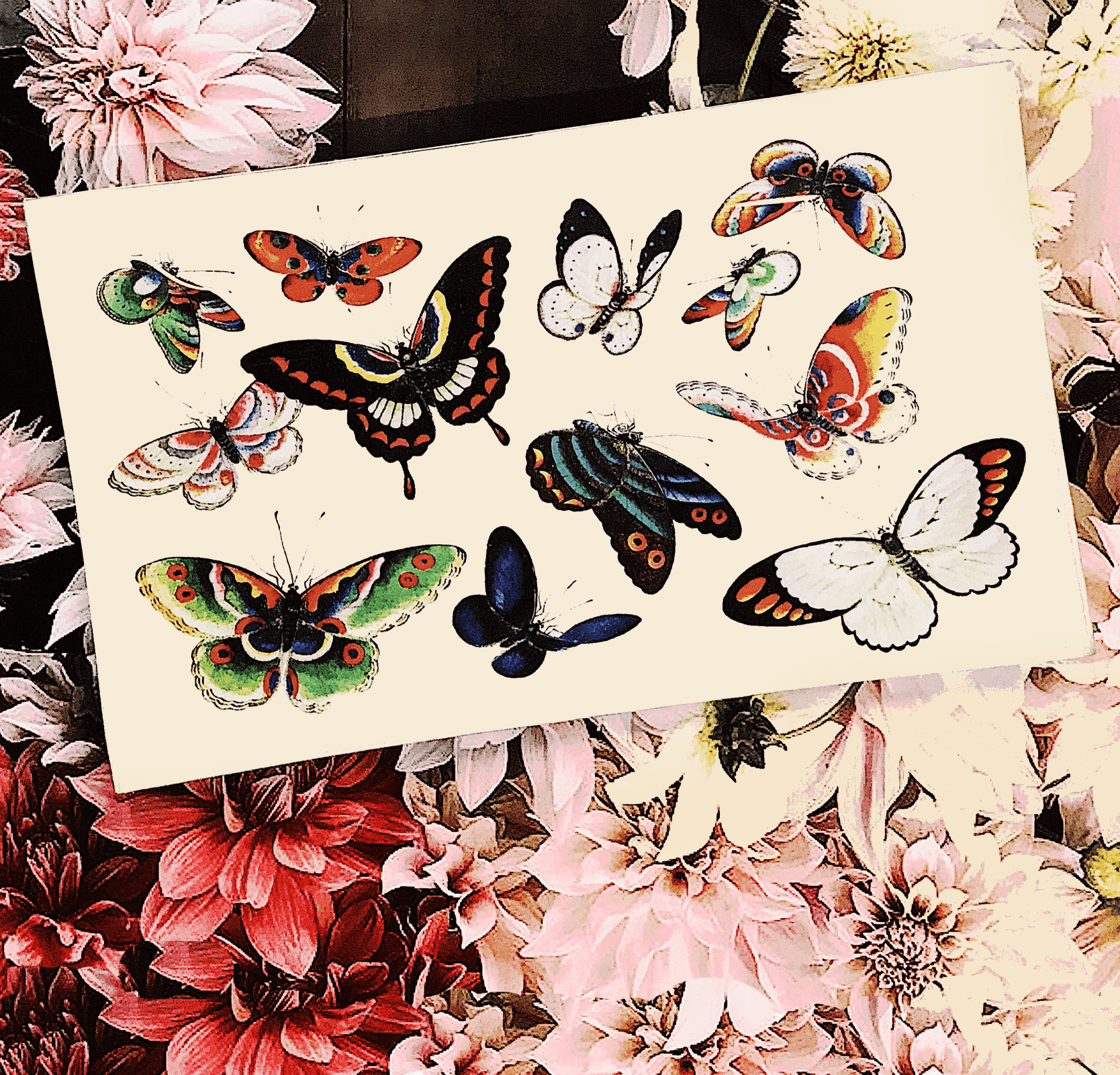 12 Fluttering Butterflies Decoupage Glass Tray - Bensgarden.com