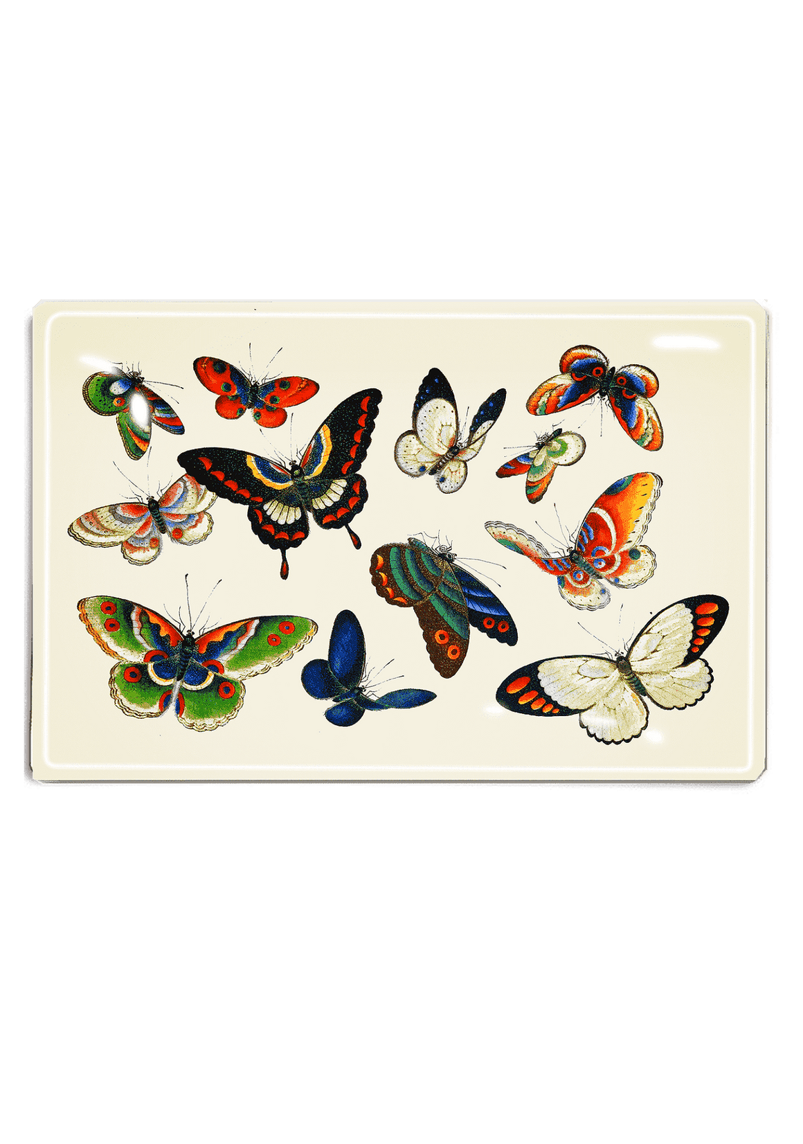 12 Fluttering Butterflies Decoupage Glass Tray - Bensgarden.com