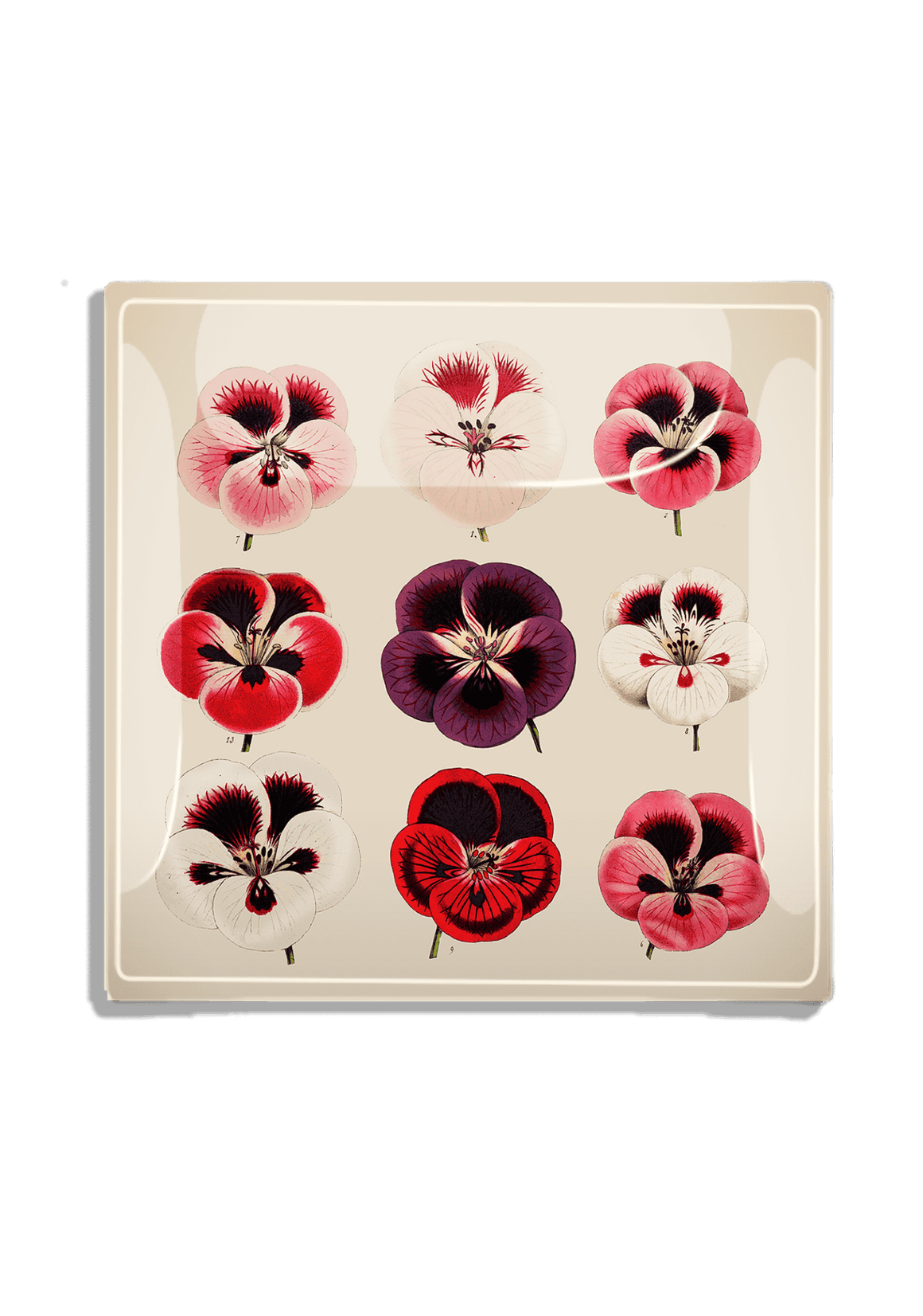9 Violet Pinks Flower Decoupage Glass Tray - Bensgarden.com