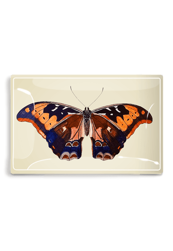 Barbados Butterfly Decoupage Glass Tray - Bensgarden.com