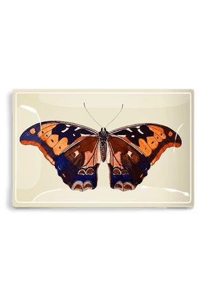 Barbados Butterfly Decoupage Glass Tray - Bensgarden.com